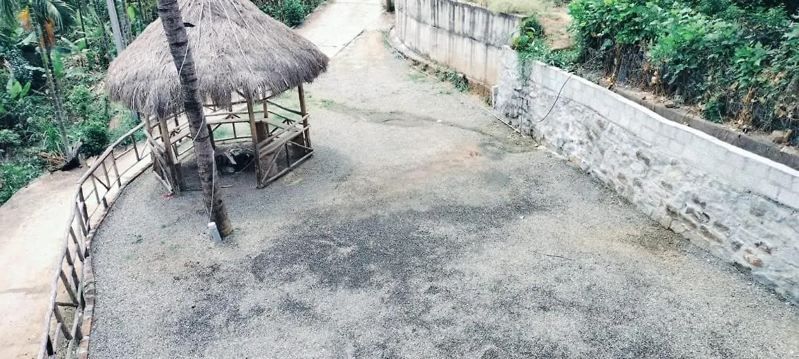 Homestay Palm View Kanthalloor